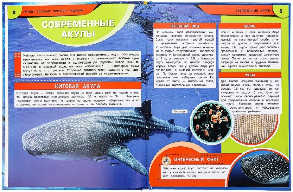 Rekiny. Niebezpieczne morskie drapieżniki