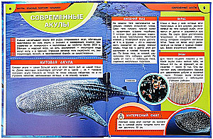 Rekiny. Niebezpieczne morskie drapieżniki