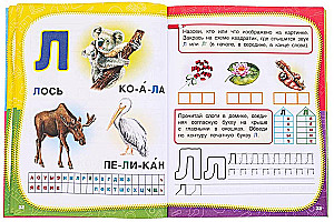 Täielik aastane õppekursus. 5-6 aastat