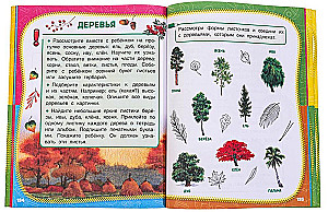 Täielik aastane õppekursus. 5-6 aastat