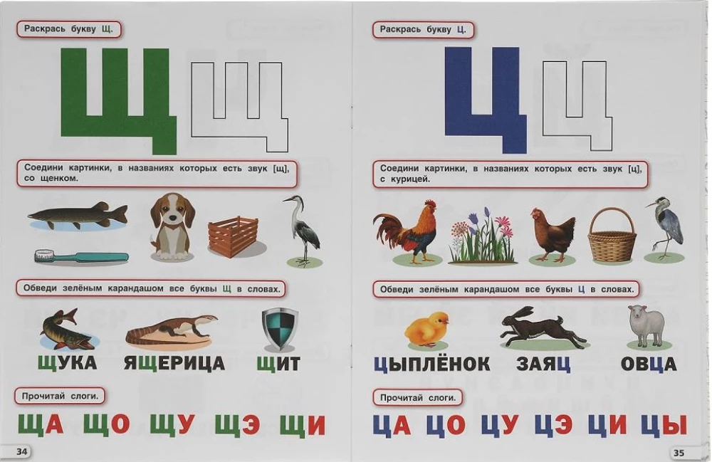 Годовой курс 4-5 лет