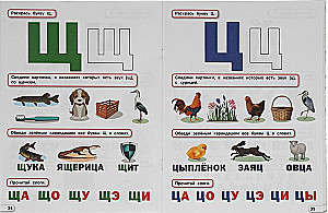 Годовой курс 4-5 лет