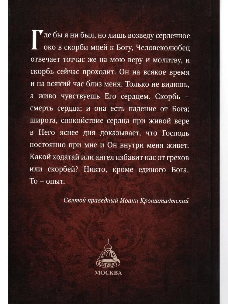 Mein Leben in Christus. Heiliger gerechter Johannes von Kronstadt