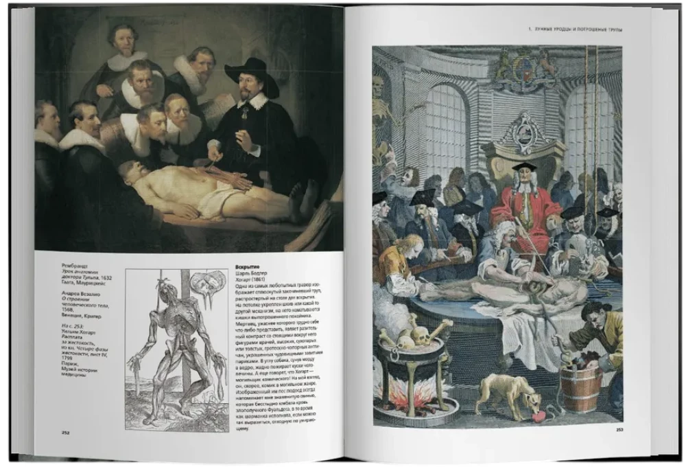 Die Geschichte des Ungeheuers