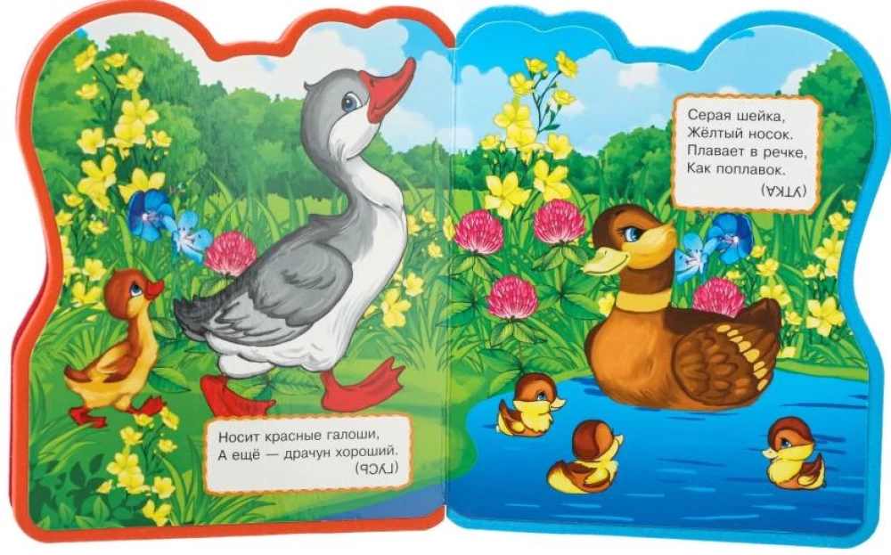 Zagadki o zwierzętach