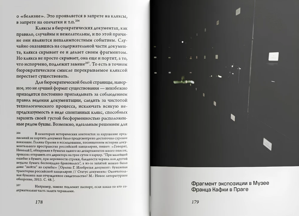 Radikalna czerń. Esej o kolorze, władzy i sztuce współczesnej