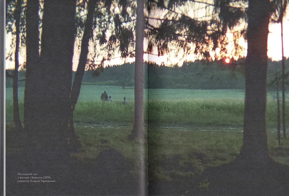 Andrei Tarkowski: Die Elemente des Films