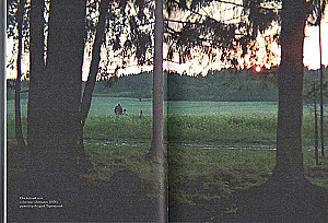 Andrei Tarkowski: Die Elemente des Films