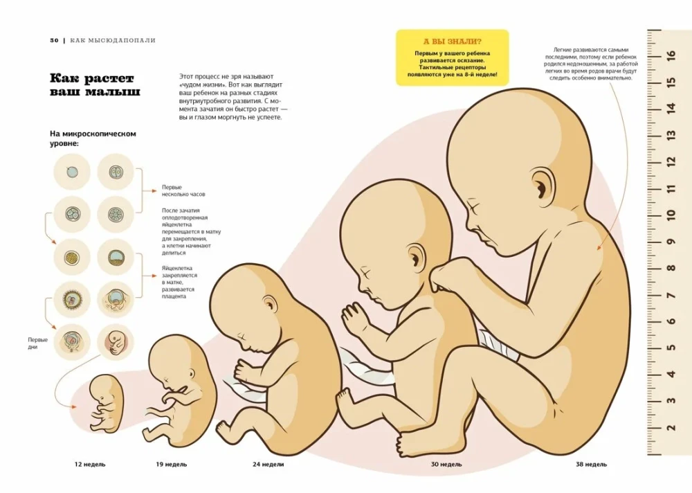 Gwiezdne sekrety rodzicielstwa: Prezentowy duet dla mam i tatów. Zestaw 2 książek