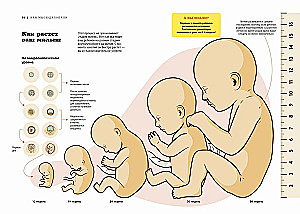 Gwiezdne sekrety rodzicielstwa: Prezentowy duet dla mam i tatów. Zestaw 2 książek