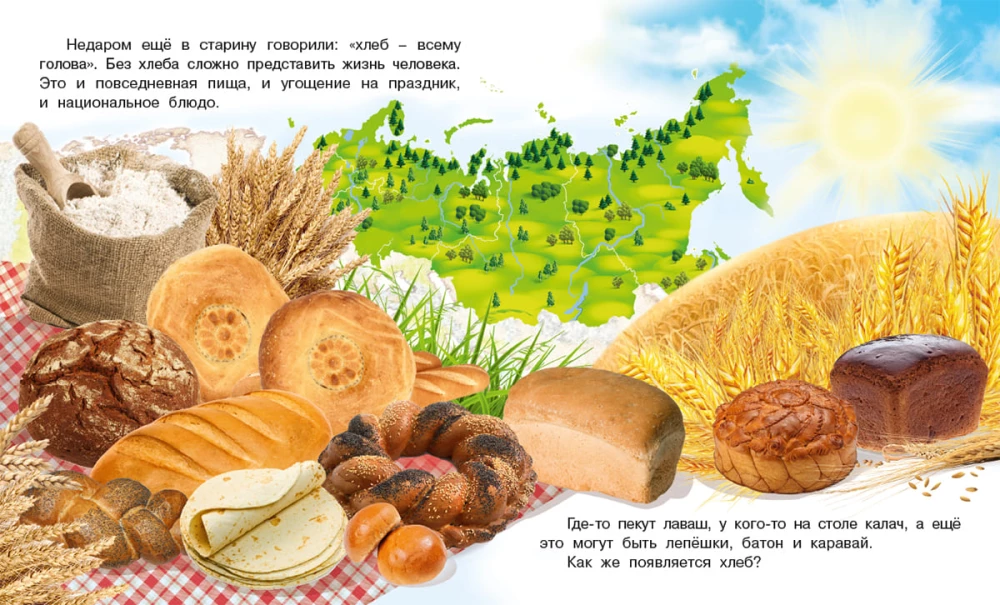 How Bread Comes to Be