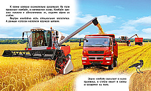 How Bread Comes to Be