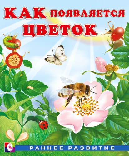 How a Flower Appears