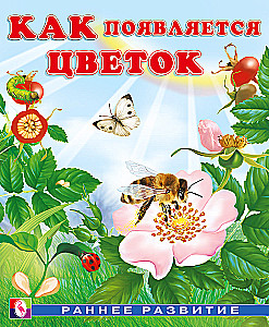 How a Flower Appears