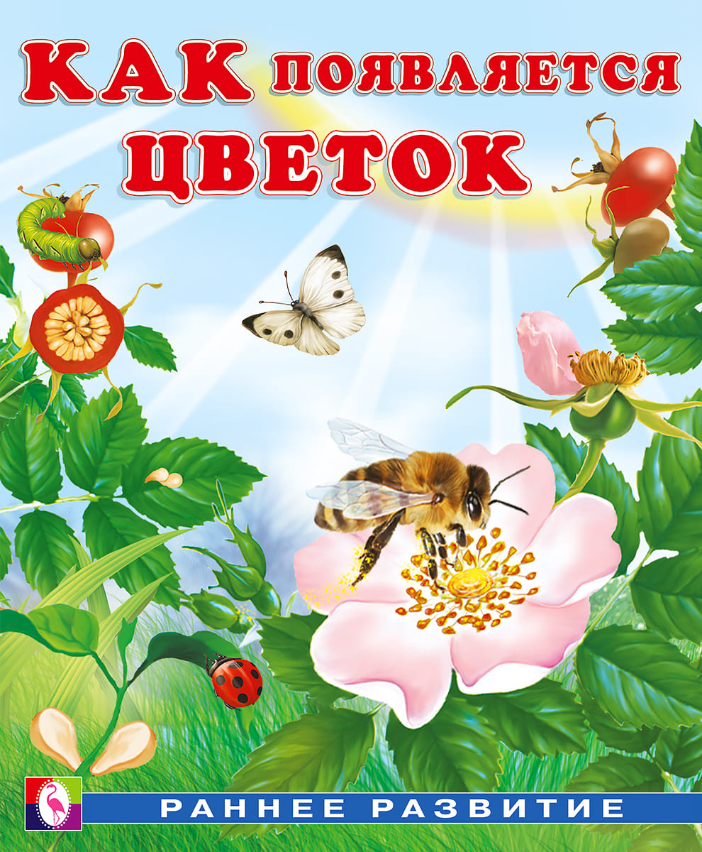 Wie die Blume entsteht