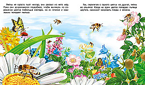 How a Flower Appears