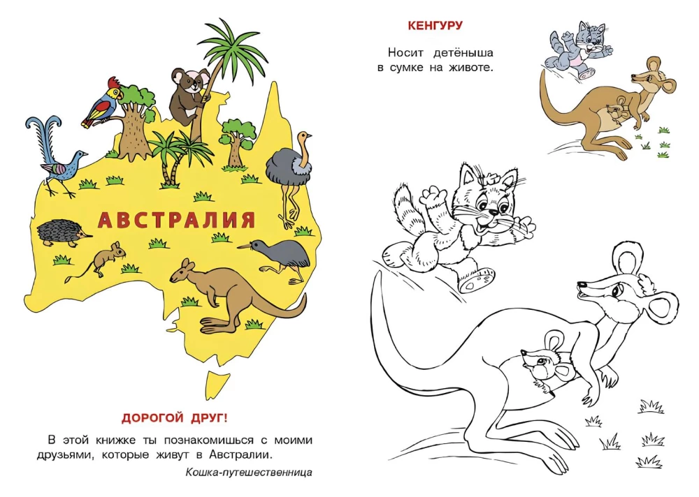 Australien. Der Katzenatlas