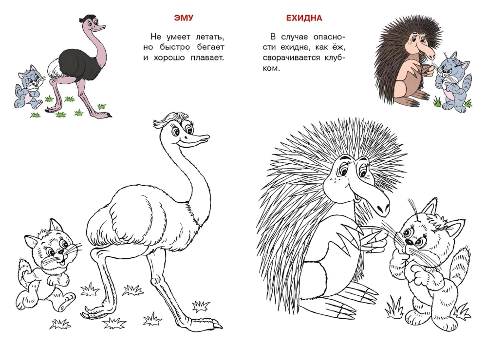 Australien. Der Katzenatlas