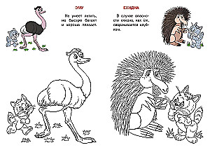 Australien. Der Katzenatlas