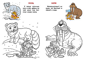 Arctica and Antarctica. Cat Atlas