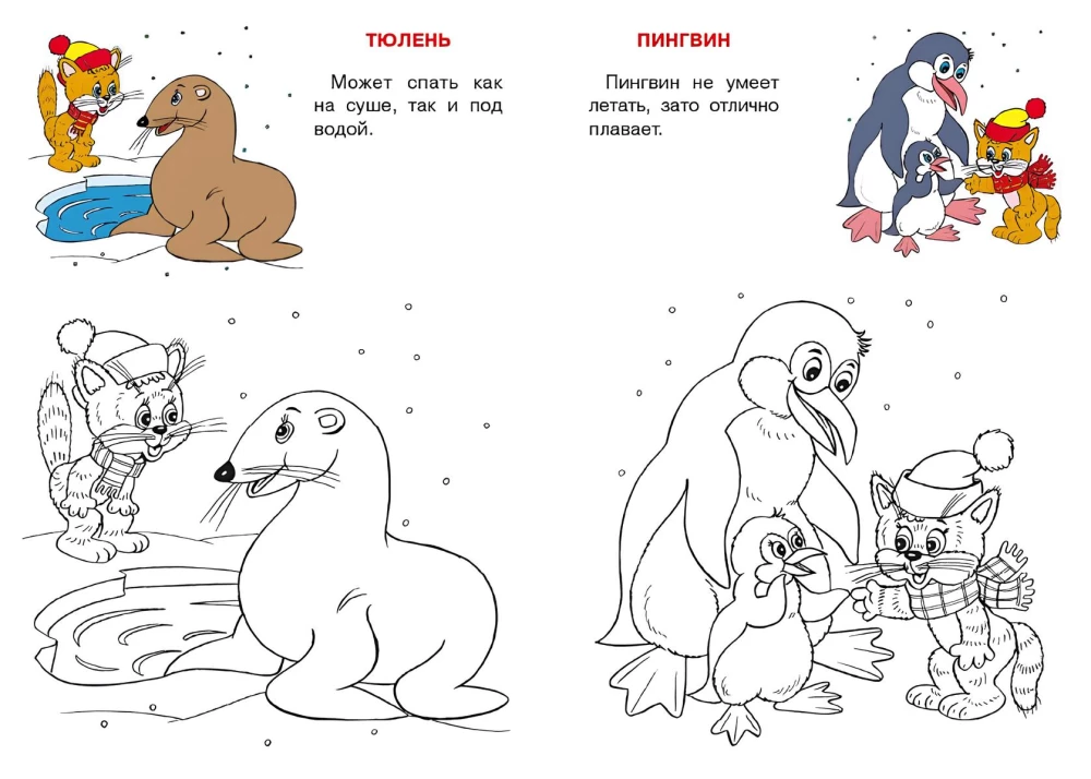 Arctica and Antarctica. Cat Atlas