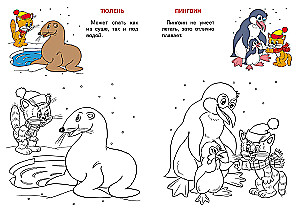 Arctica and Antarctica. Cat Atlas