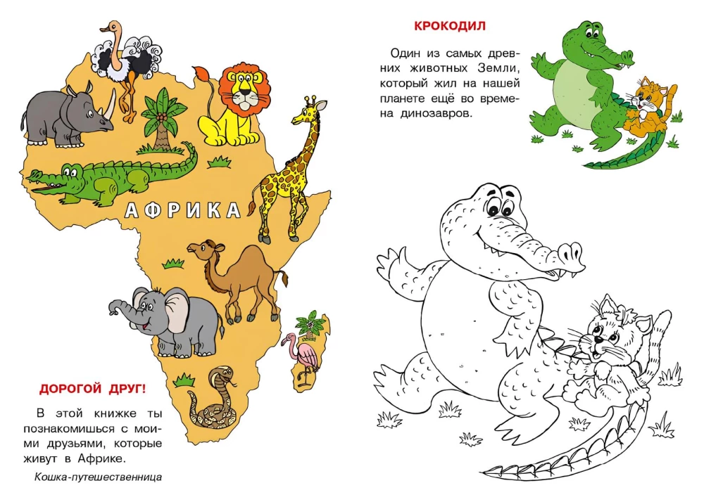 Afrika. Katzens Atlas