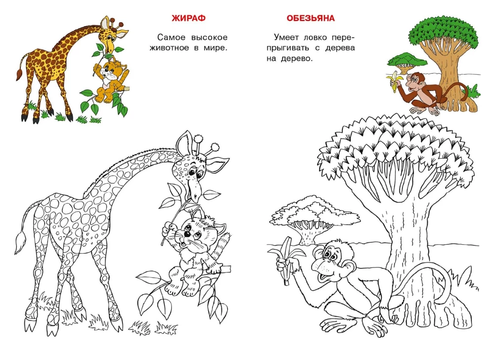 Afrika. Katzens Atlas