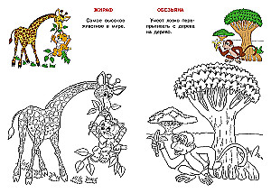 Afrika. Katzens Atlas