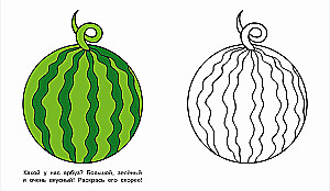 The Squirrel Cub. Look and Color