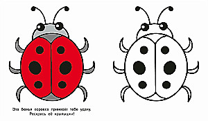 The Squirrel Cub. Look and Color