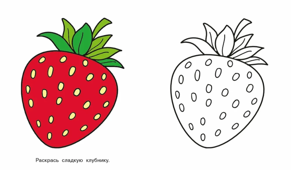 Bunny. Look and Color