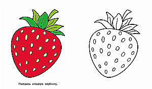 Bunny. Look and Color