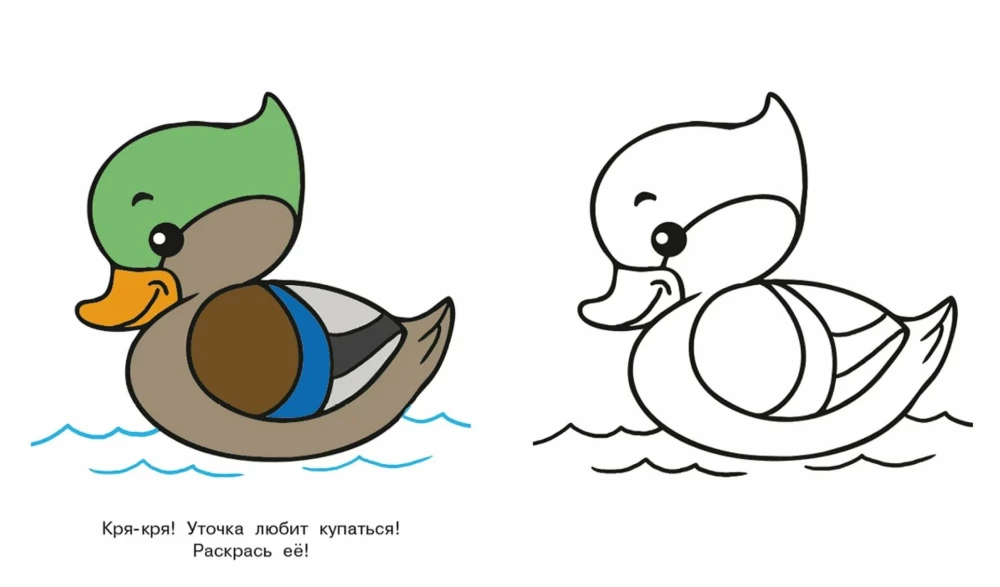 Bunny. Look and Color