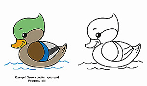 Bunny. Look and Color