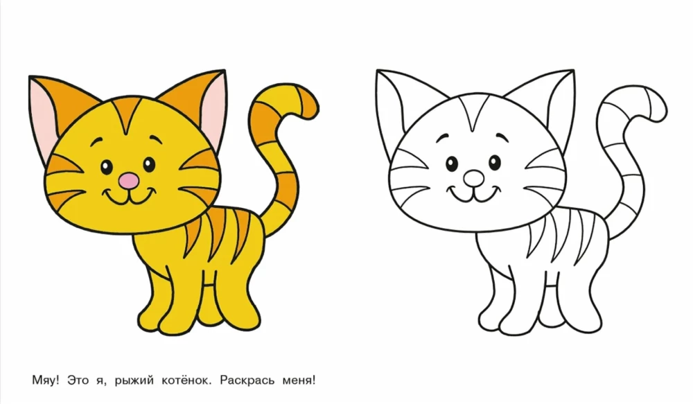 Kätzchen. Schau und male aus