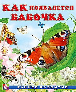 How a Butterfly Appears