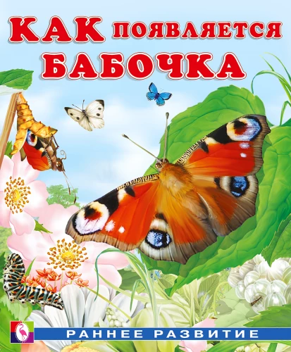How a Butterfly Appears
