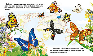 How a Butterfly Appears