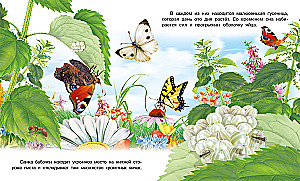 How a Butterfly Appears