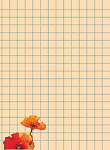 Блокнот Большого счастья (котенок)