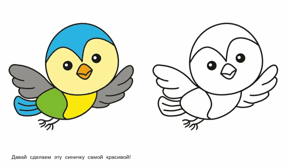 Bärenkind. Schau und male aus