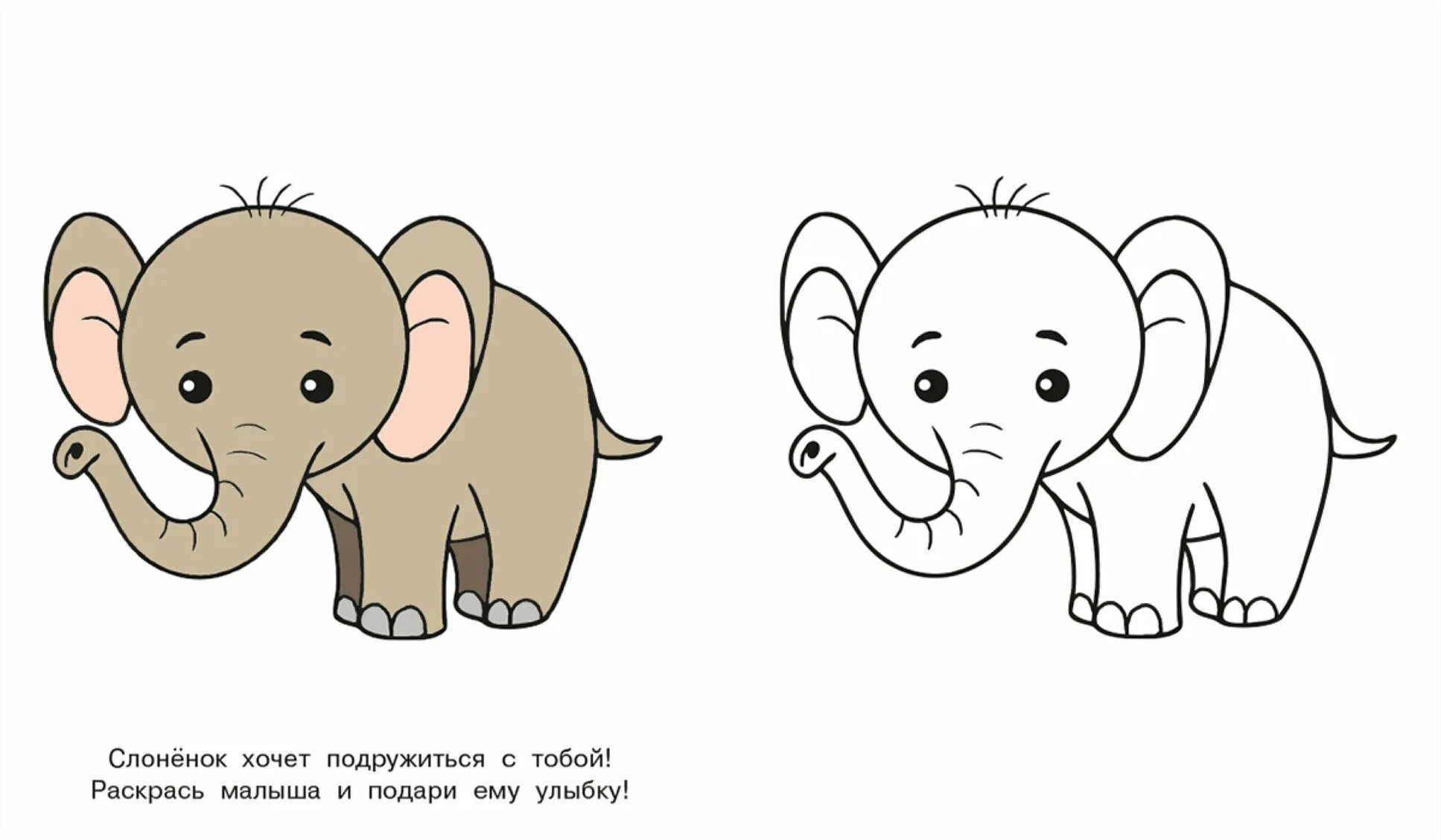 Baby Elephant. Look and Color