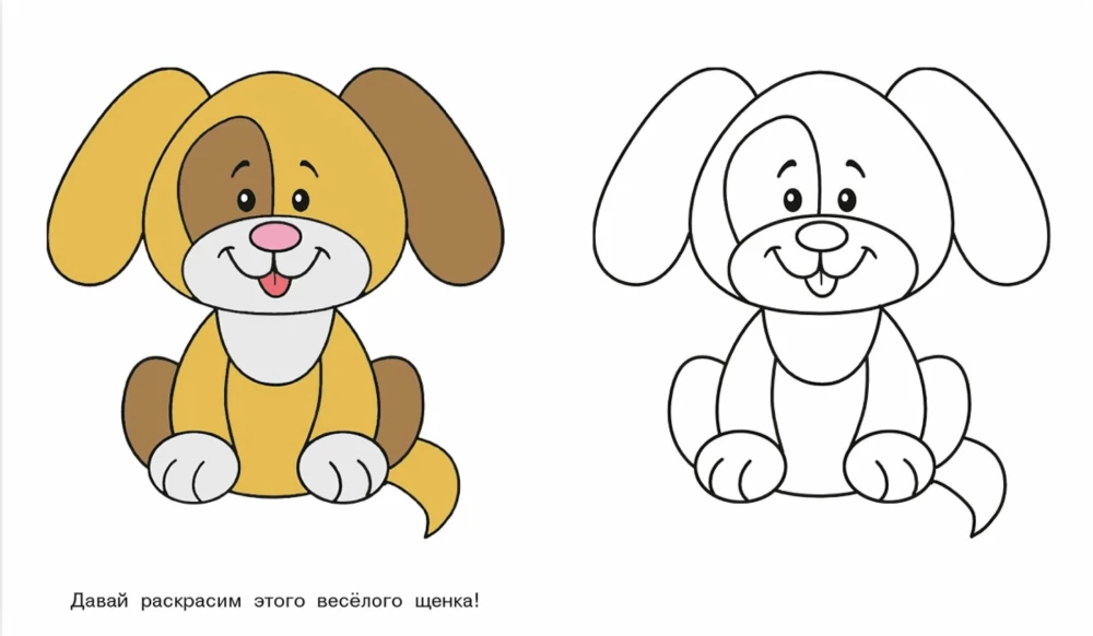 Welpe. Schau und male aus