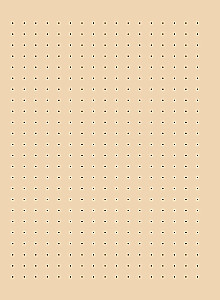 Блокнот Botanica (белые цветы на голубом фоне)