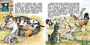 The Adventures of a Kitten