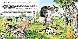 The Adventures of a Kitten