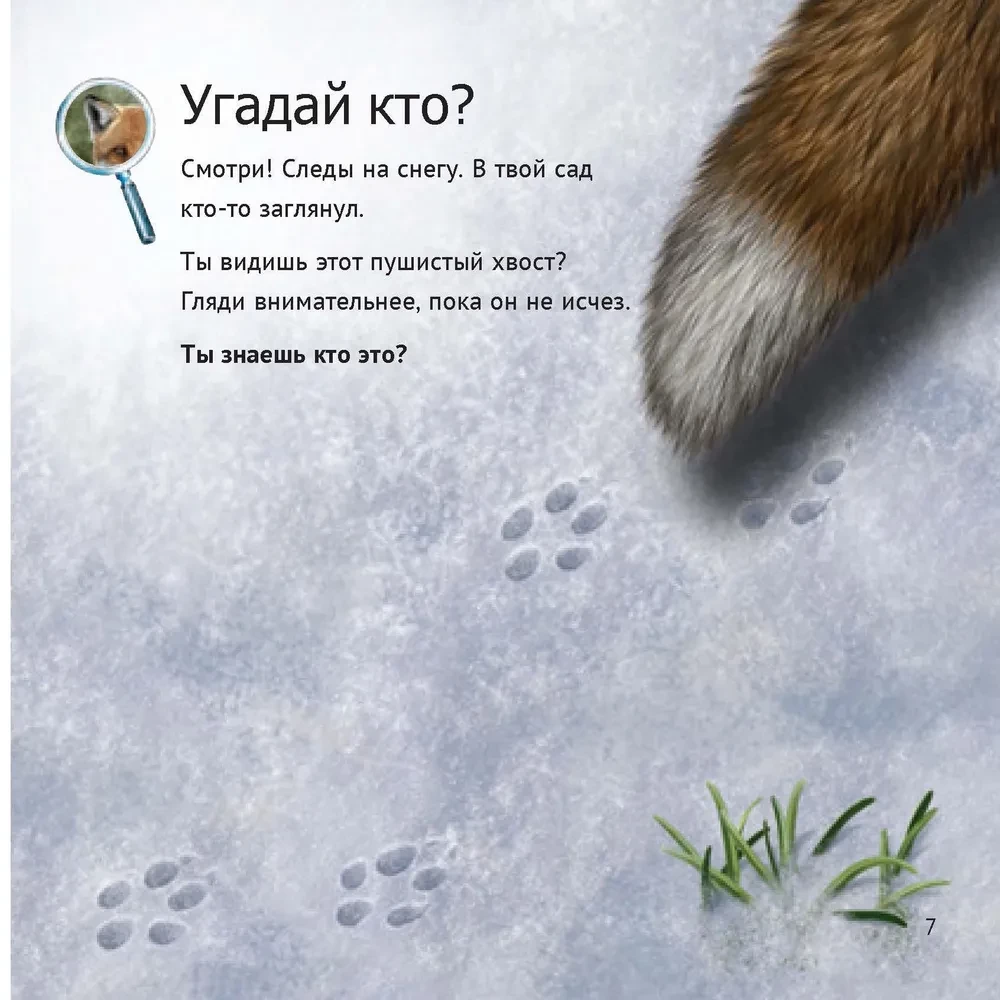 Кто живет у нас на даче: от мала до велика