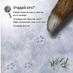 Кто живет у нас на даче: от мала до велика