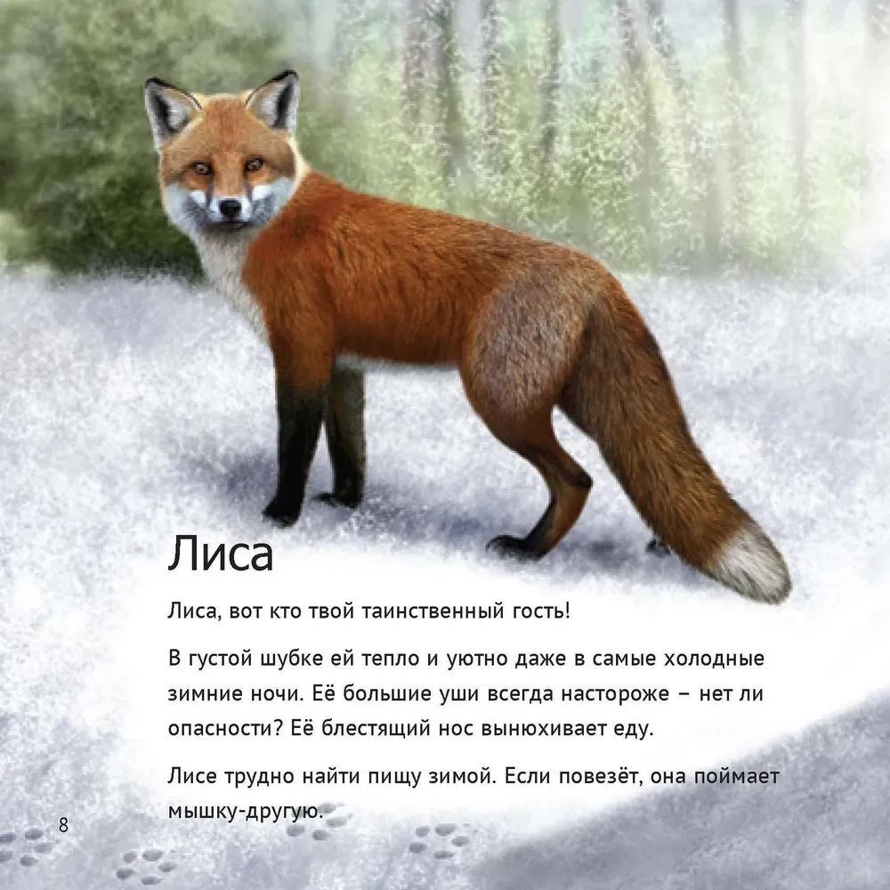 Кто живет у нас на даче: от мала до велика